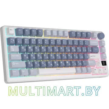 Клавиатура Royal Kludge RK-M75 (белый/синий, RK Silver) картинка 2